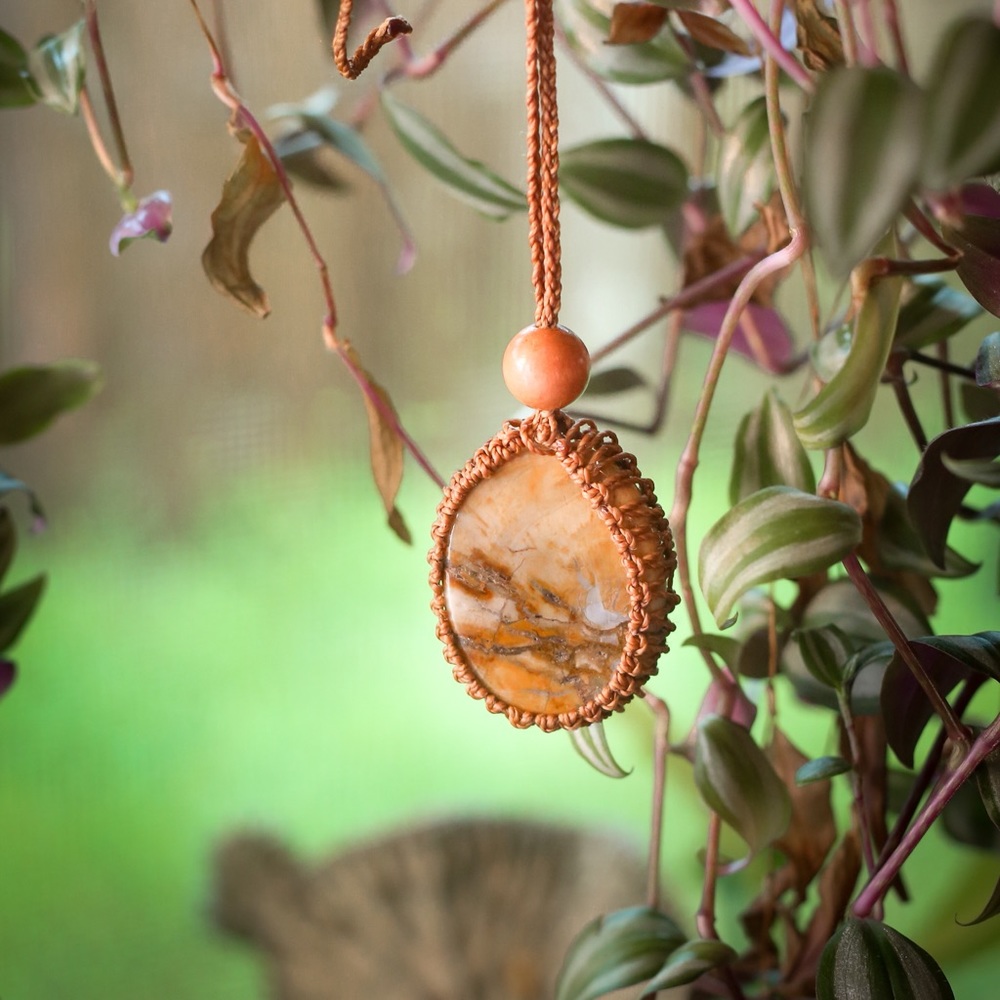Real Petrified Wood Macrame Necklace